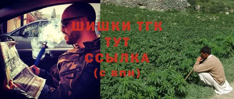 Канабис THC 21%  купить закладку  Новая Ляля 